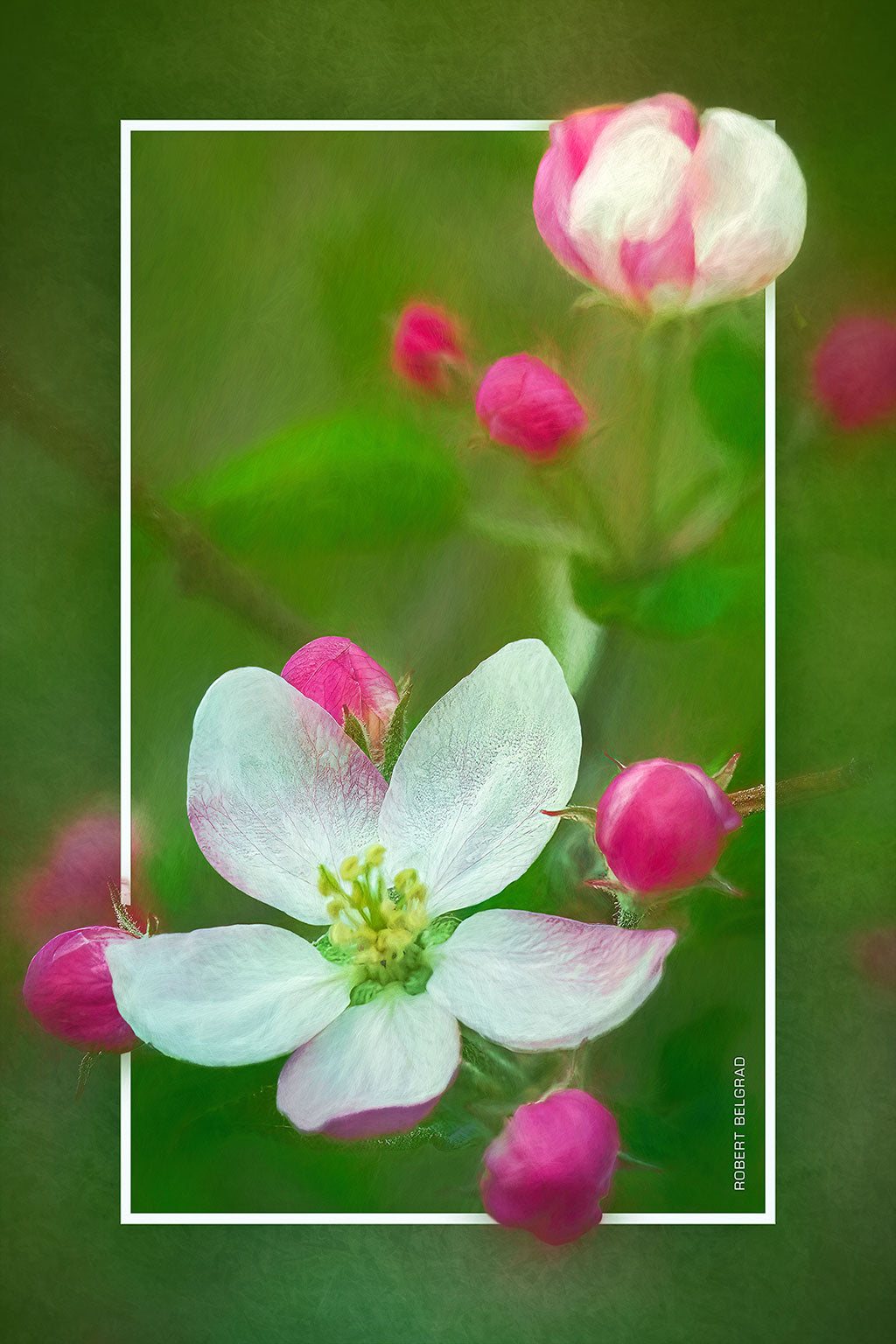 &quot;Magnolias&quot; 4x6 Metal Print &amp; Stand