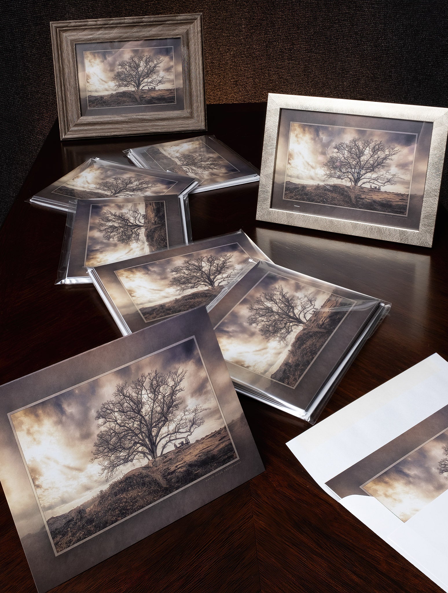 Witness Tree Note Cards with Envelopes - Set of 5