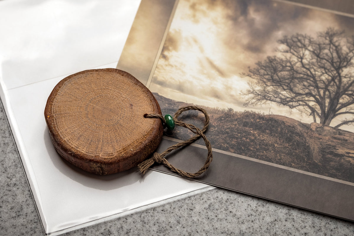 Collectible Witness Tree Keepsake with Note Card